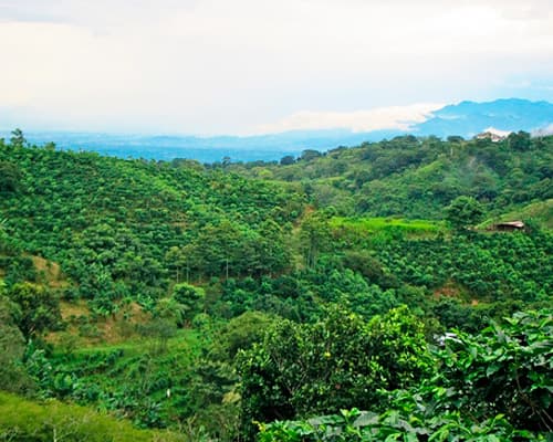 Изображение -  10 Days of Highlights in Costa Rica