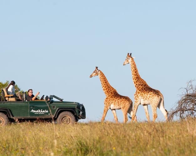 Image -  Ontdek de Tuinroute en het Amakhala Game Reserve