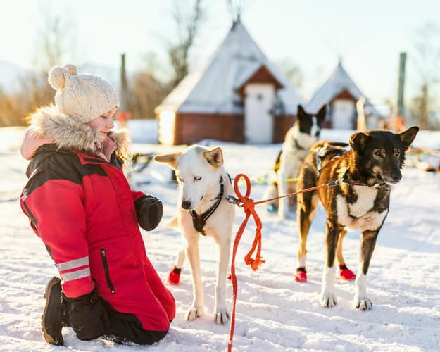 Imagen - Navidad en Laponia desde Madrid