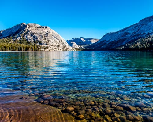 Immagine -  Tra la Costa Californiana e lo Yosemite (volo incl.)