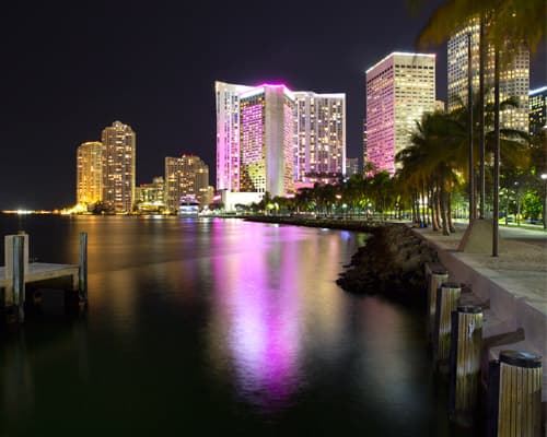 Imagen - VAMOS MIAMI + City Tour y crucero por la Bahía Vizcaína