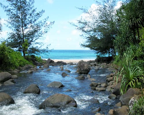 Imagem - Oahu, Kauai & Maui