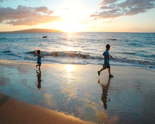 Imagem - Oahu, Kauai, Big Island & Maui