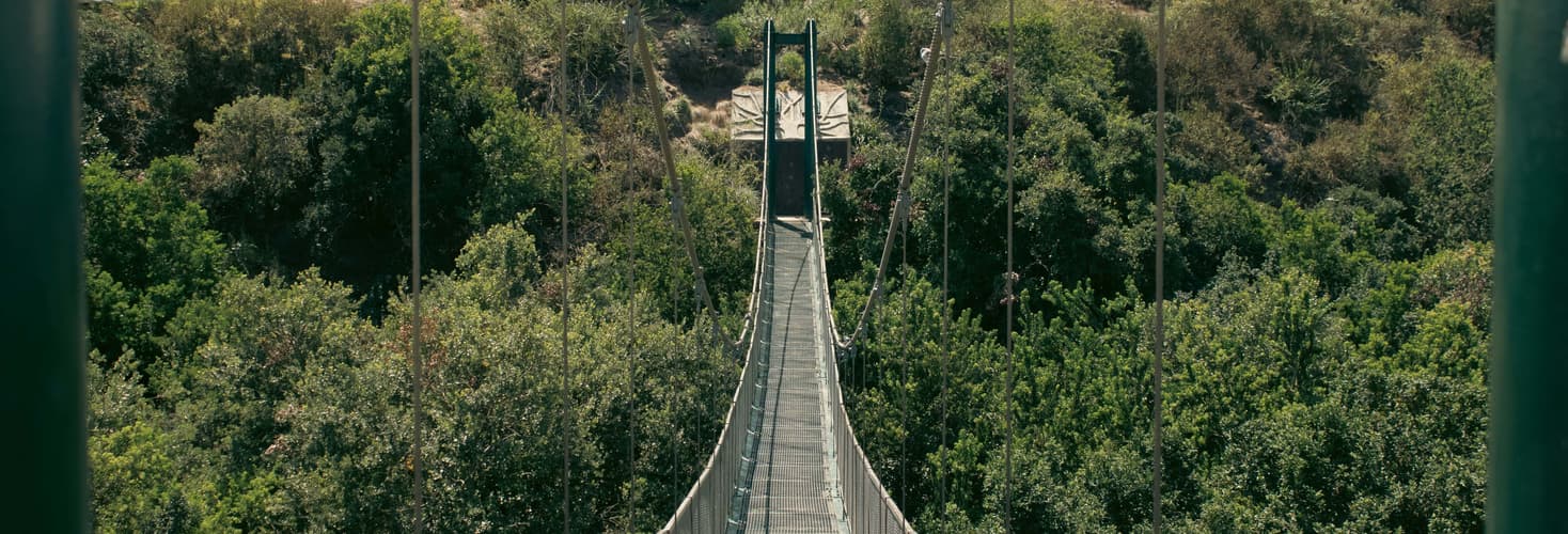 Imagen - Full day en Pomaire y Parque Tricao - 15 agosto 2026