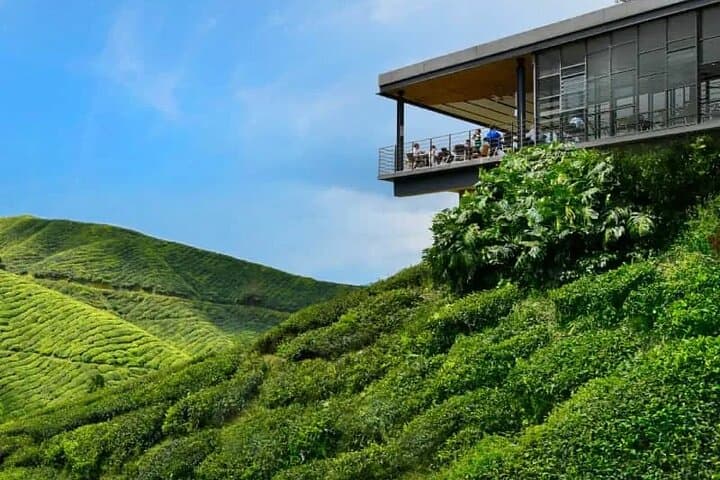 图像 -  tours suggestions in KUALA and lGK