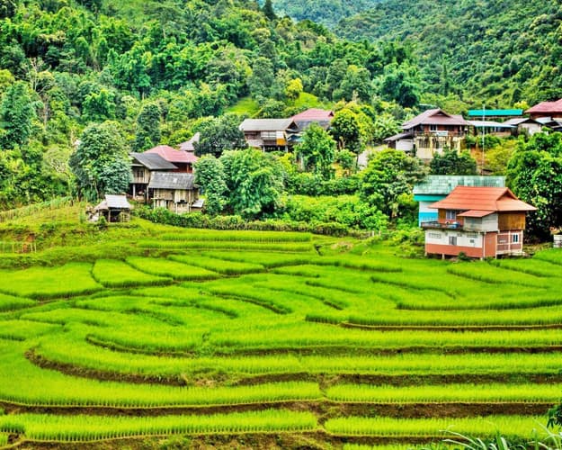 Bild - Bangkok, Mietwagenrundreise "Der Norden Thailands" & Hua Hin