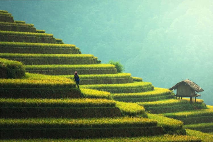 Image -  Spring Break Offer-8days Vietnam (Hanoi+ HalongBay + Sapa)