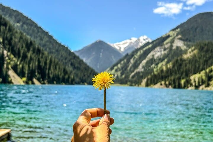 Image - 6 Days - Discover Almaty The City of Apples, Kazakhstan