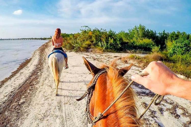 Imagen - Isla Holbox - Cabalgata en la playa ✨✨