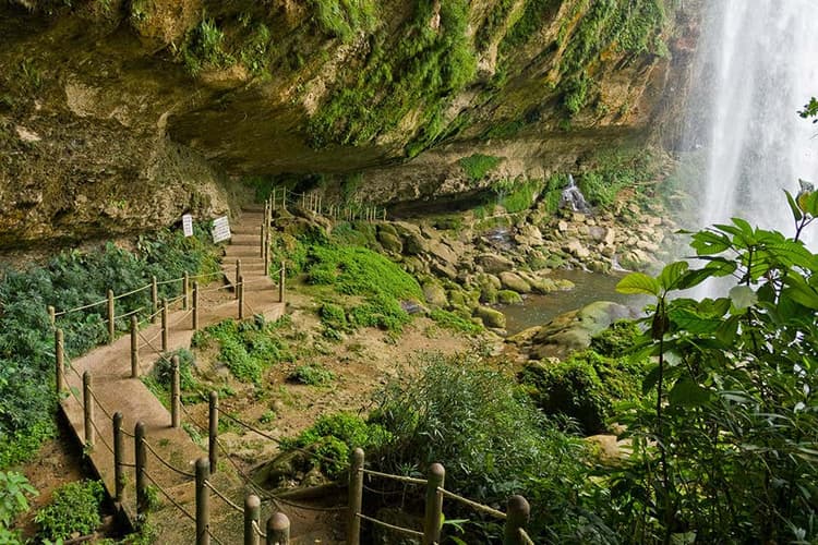 Avión + Hotel + Tour, Palenque 16 al 19-Ago, 25