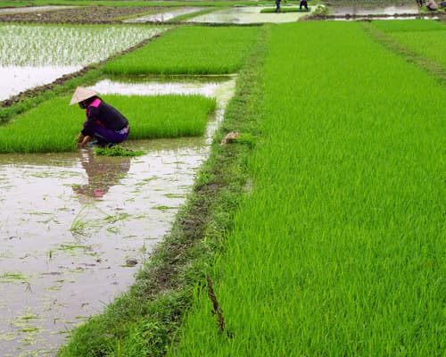 تصویر - 4 Nights in Hai Phong, Vietnam