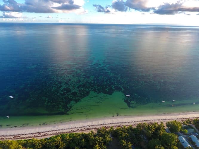 Imagen -  Mahé & Praslin