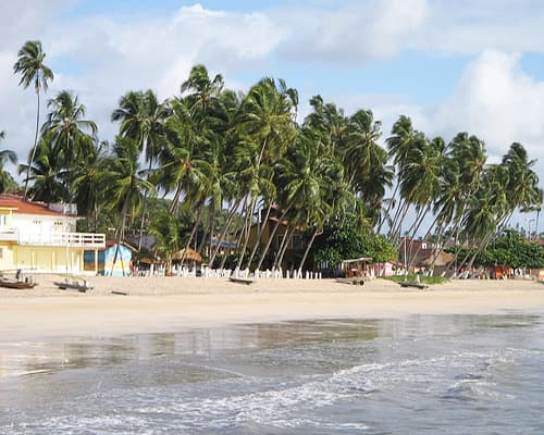 Imagen - Paquete a Maragogi, Brazil