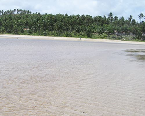 Imagen -  Maragogi & Maceió