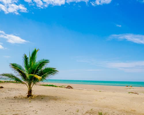 Imagen - MANTA BASICO 4D/3N - Turista