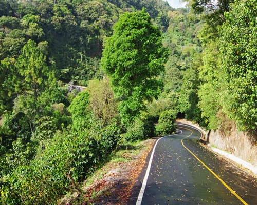 Imagen - CHIRIQUI - BOQUETE Y CIUDAD 2026 H. Panamonte