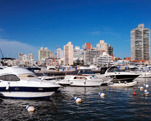 Imagen - Punta del Este & Auto - Febrero