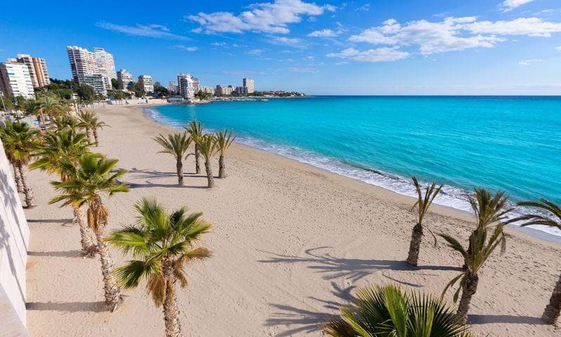 Image - ALICANTE zimske počitnice 5 noči + rent a car