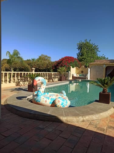 Imagem - Quinta Pereiro Tropic Garden-Moncarapacho-Junho