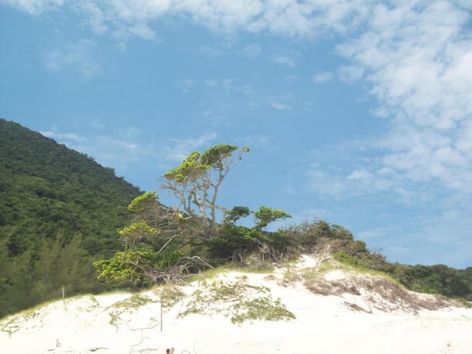 Imagen - Dom 18 de enero 26 - COR / RÍO - Htls en Arraial do Cabo