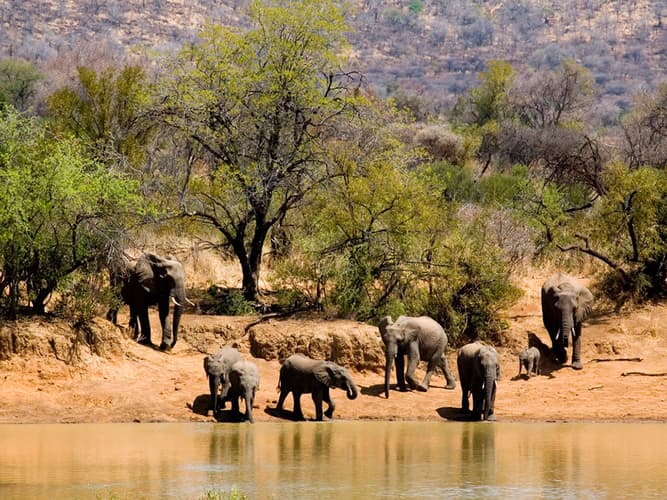 Image - South Africa