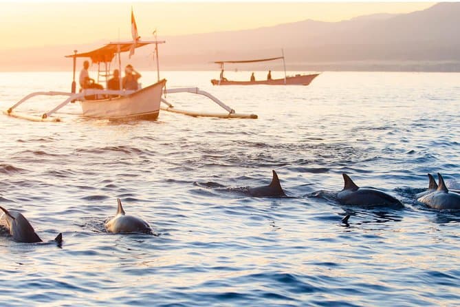 图像 - 6 Days BALI (4* -Dolphin Watching & Sunrise at Lovina Beach)
