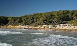 Imagen -  5 N Gran Palas Hotel + 2 GF (Infinitum/Gaudí)