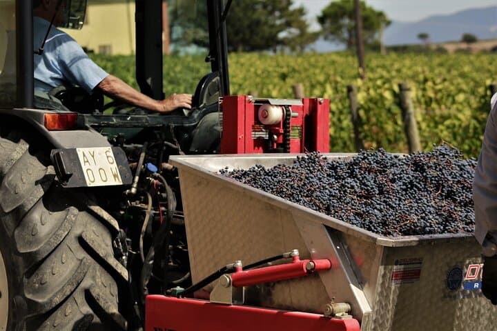 Image - Visita e degustazione di vini selezionati a Montefalco