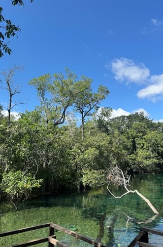 Imagem - Bonito, Brasil