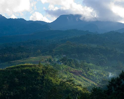 Imagen - Tarapoto con vuelo incluido 