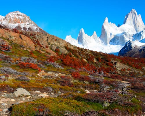 Image -  Patagonia Imperdible
