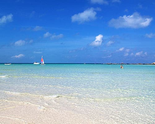 Imagen - Hotel Mayan Monkey, Isla Mujeres