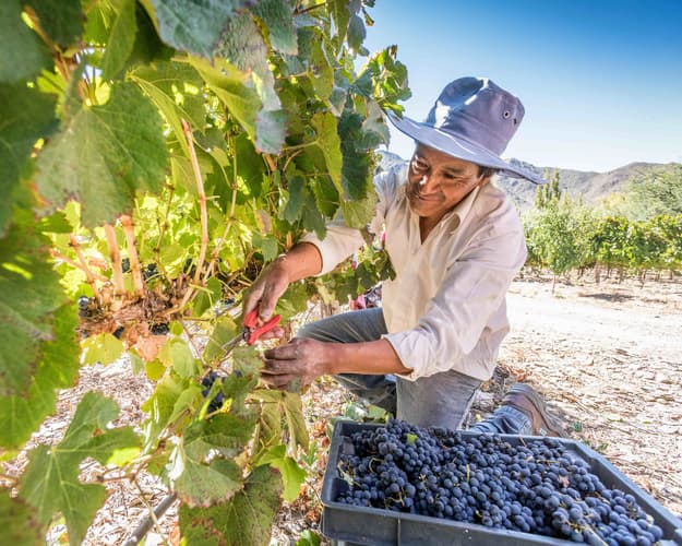 Imagen -  Vuelta al norte argentino