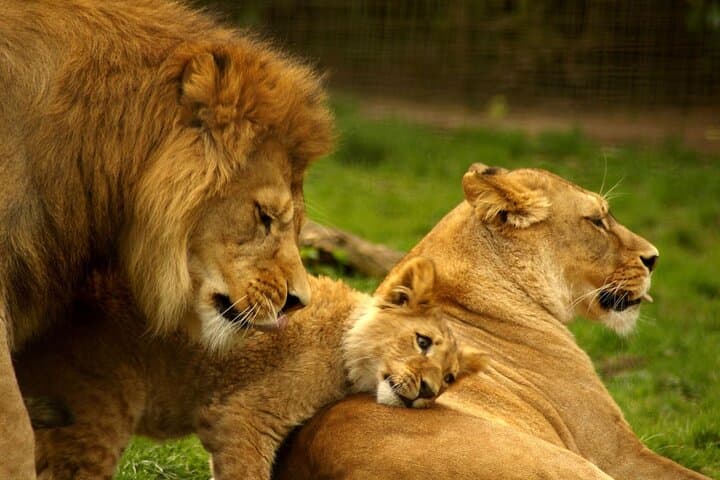 Image - Discover  Cape Town and  Durban