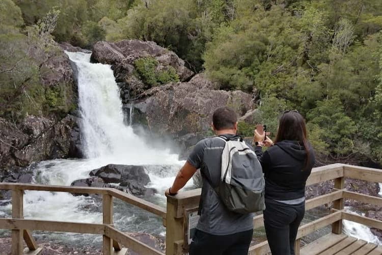 Imagen - Senderismo por el Parque Nacional Alerce Andino