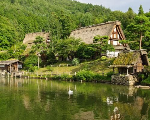 Imagen - Nuevo Banzai Japon