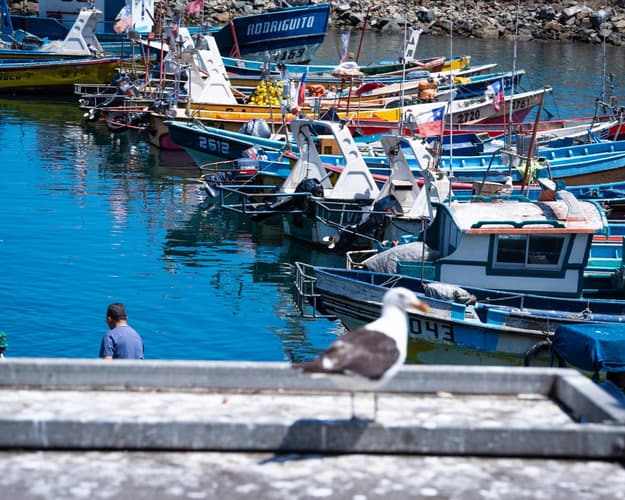 Imagen - Descubrimiento del Canal Inca y Panamá a bordo Ms Oostedam