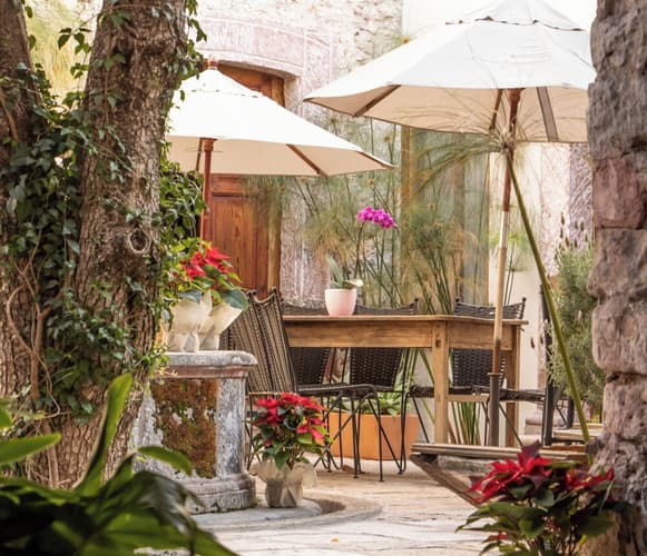 Imagen - ORCHID HOUSE SAN MIGUEL DE ALLENDE - FEBRERO 2026 