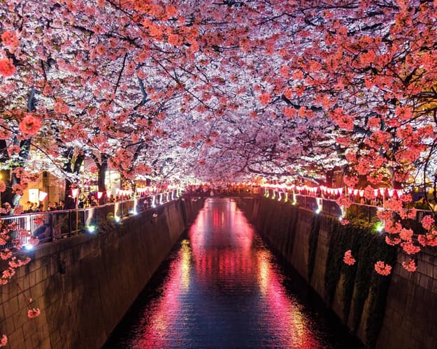 Imagen - Nuevo Japón Espiritual