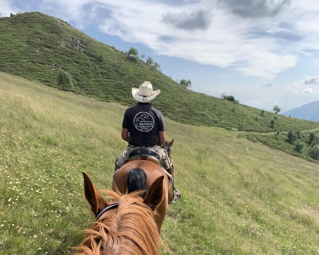 Immagine - Passeggiata a cavallo in Oasi Zegna