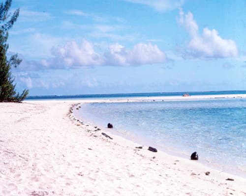 Immagine - Costa Ovest e Bora Bora