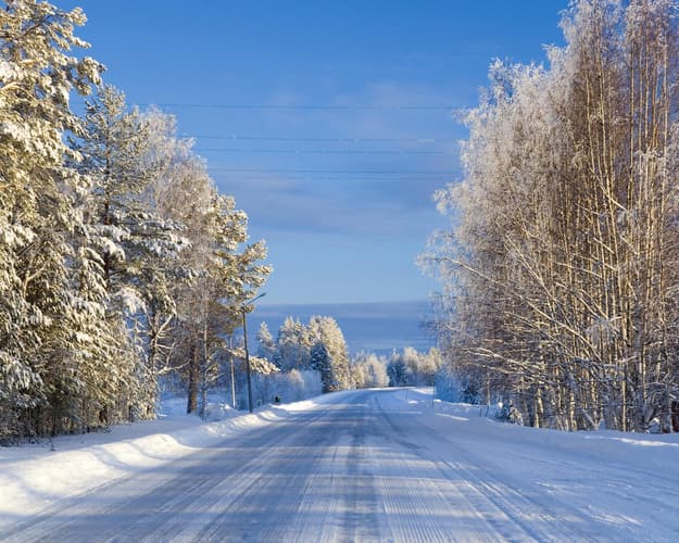 Beeld -  11-daagse roadtrip door winters Zweden: natuur & avontuur