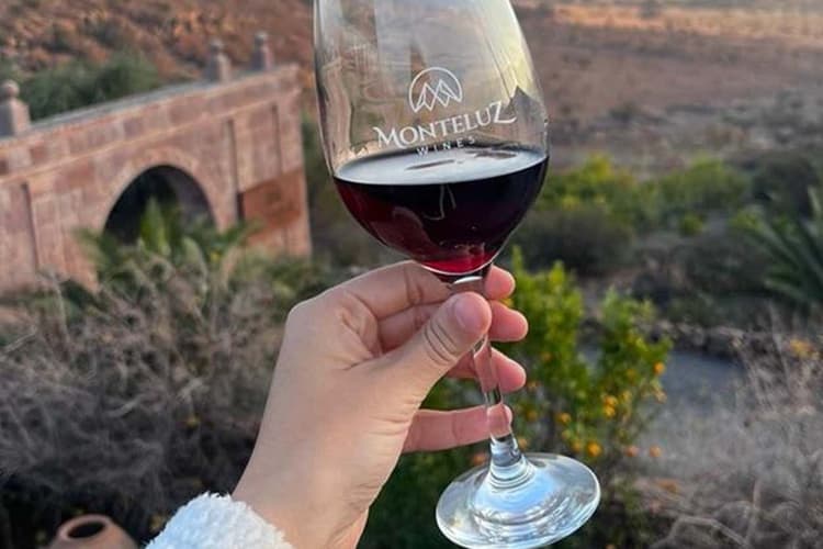 Imagem - Tours Viniculas - Santiago de Chile, Chile