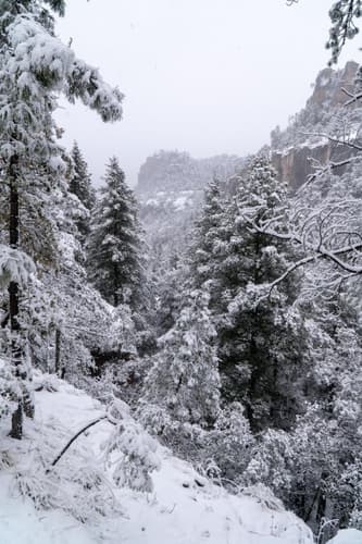 Image - ESCAPADA DE INVIERNO POR 4 DÍAS A CREEL, CHIHUAHUA