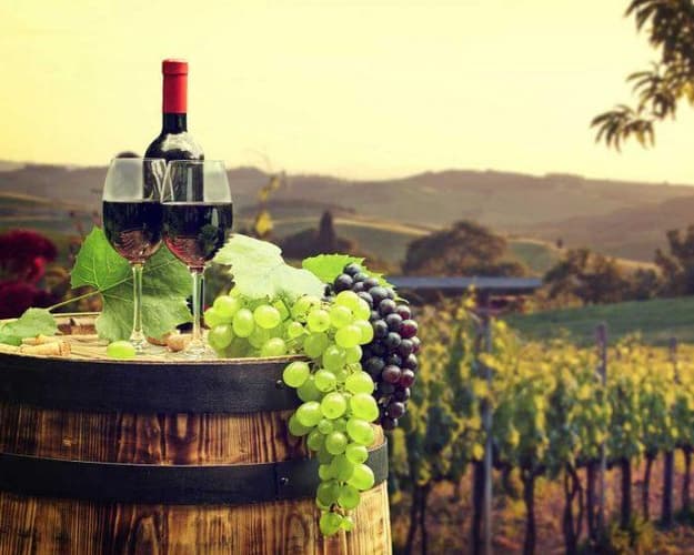 Imagen - Santiago - Vinos de Alta Gama con vuelo incluido