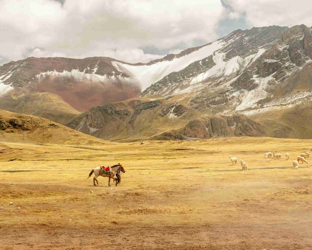 Image - Masterful Peru 08 Days / 07 Nights