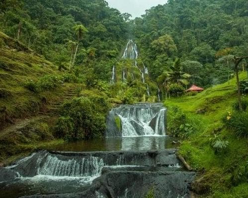 Imagen - Risaralda y Quindío