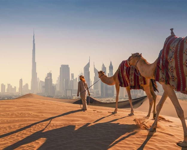 Image - WONDERFUL DUBAI