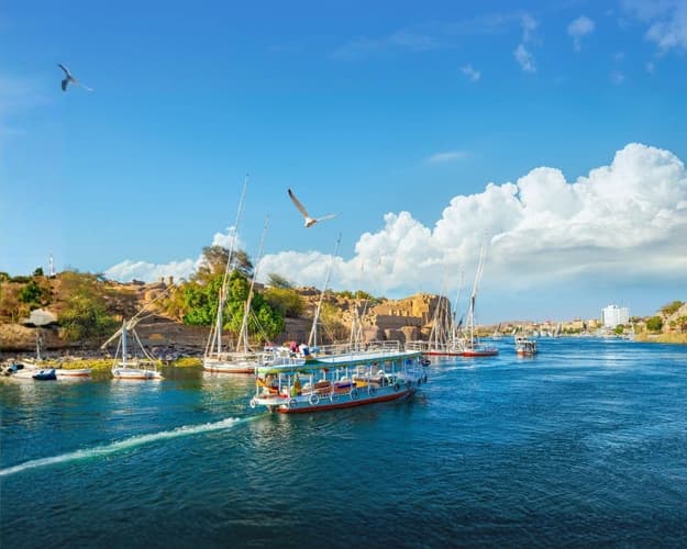 Bilde -  Nile cruise, pyramids and sea