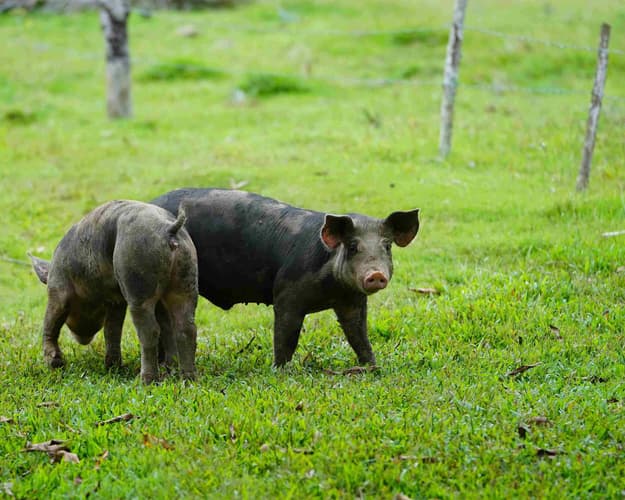 Imagen - #PUEBLOSMÁGICOS-RUTA TERUEL MÁGICO